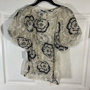 See through Laundry top